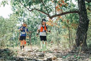 BIB: 
                            <button type="button" onclick="openModal(26094121)" class="btn btn-primary btn-sm float-right btn-popup" data-toggle="modal" data-target=".modal-high-quality">
                        <i class="fas fa-shopping-cart"></i> Add to Cart
                    </button>
                                            <button type="button" onclick="isThisMe(26094121, true)" class="btn btn-success btn-sm float-right btn-popup btn-isme hidden" data-toggle="tooltip" data-placement="bottom" title="นี่คือรูปของคุณใช่ไหม คลิกที่นี่เพื่อเอาเข้าอัลบั้ม">
                        <i class="fas fa-plus"></i> Add to album
                    </button>
                    <button type="button" onclick="isThisMe(26094121, false)" class="btn btn-warning btn-sm float-right btn-popup btn-isnotme hidden">
                        <i class="fas fa-ban"></i> Remove from album
                    </button>